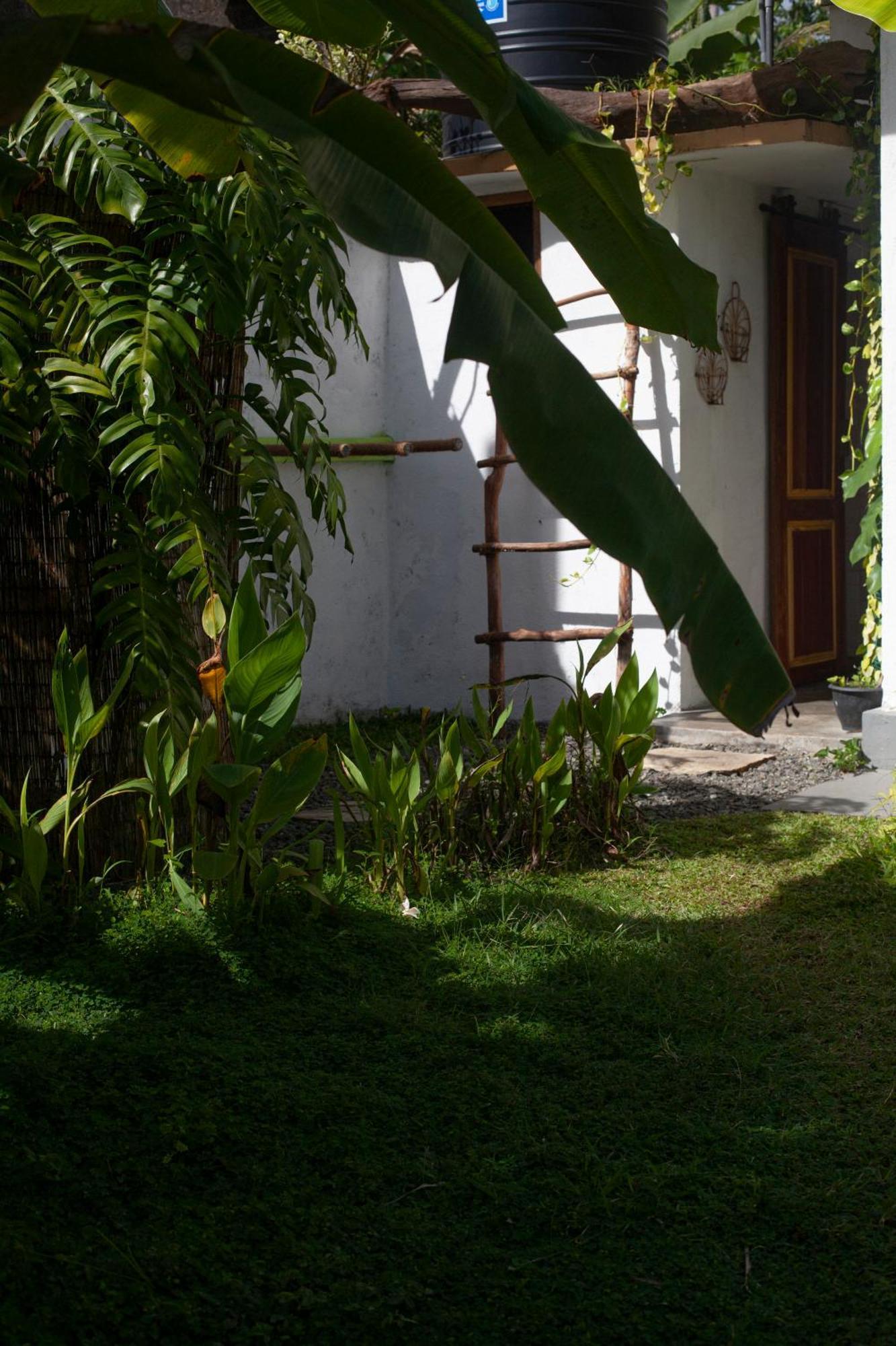 Marshmallow Homestay Ахангама Экстерьер фото